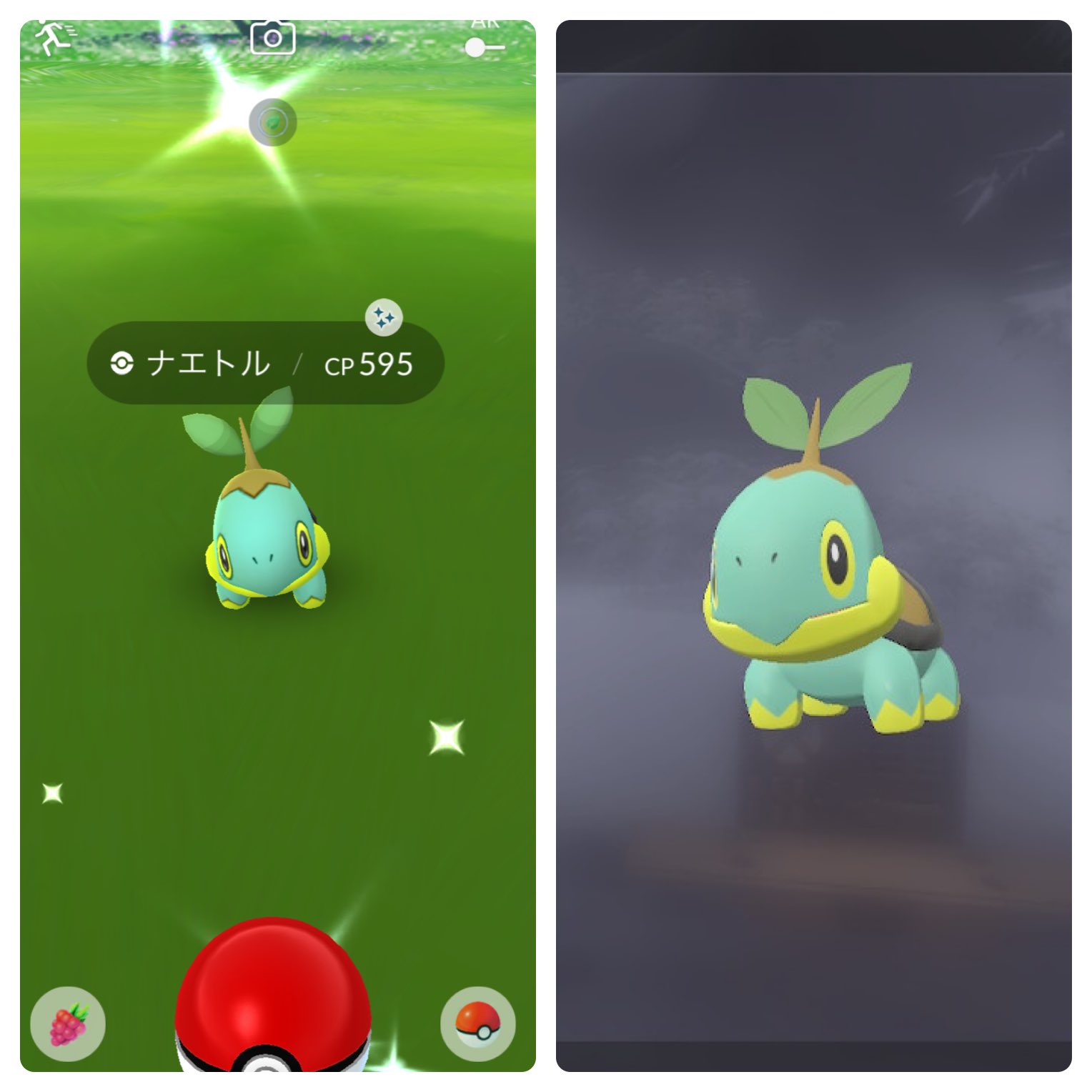 تويتر にじゅうまる على تويتر 昨日ポケgoでもアルセウスでも色ナエトルゲット ポケモンhome連動まだかいな ポケモンgo アルセウス 色違い 色違いポケモン ナエトル T Co Wnorovqiba