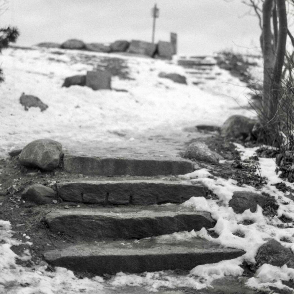 lagbot's tweet image. Places, people, pups
•
•
•
•
•
•
#film #analogphotography #filmphotography #filmisnotdead #analog #analogfilm #blackandwhite #bw #bwphotography #canon #canonphotography #canonae1 #acros100 #fujifilm #fuji #kodak #kodakfilm #kodaktmax #kodaktmax32… instagr.am/p/CaGg4XdMgJv/