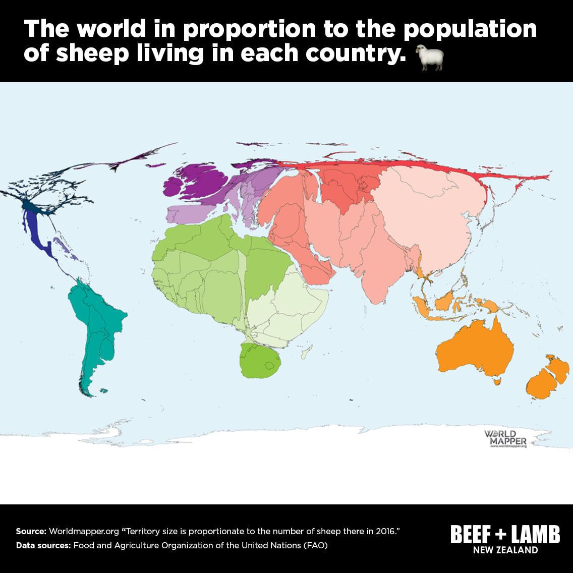 BeefLambNZ's tweet photo. Ewe Zealand π
Source: https://t.co/zxkJ25DCWI
*Antarctica doesn't have an over-abundance of sheep in case you were wondering, we just wanted a square image. π
#kiwias #sheep #nzsheep #chonky https://t.co/WKQhuHXmqy
