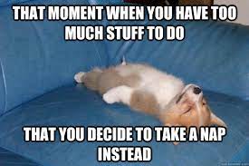 A1. This has been my week so far. 
#ditchbook