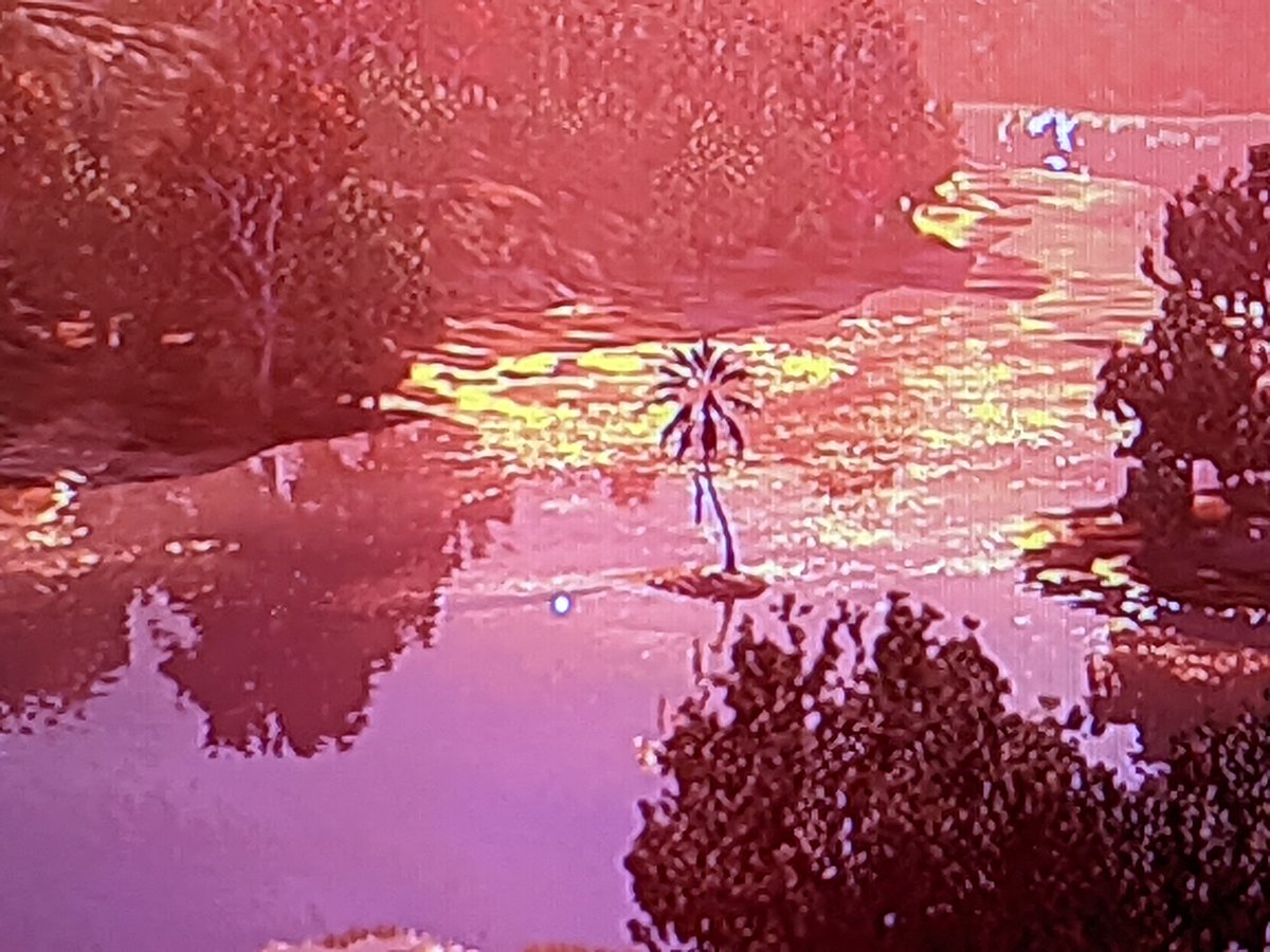 Sorry for the bad pic had to do it on my phone, but did anyone else notice the dead island palm tree while climbing up to the antenna at the beginning of #dyinglight2