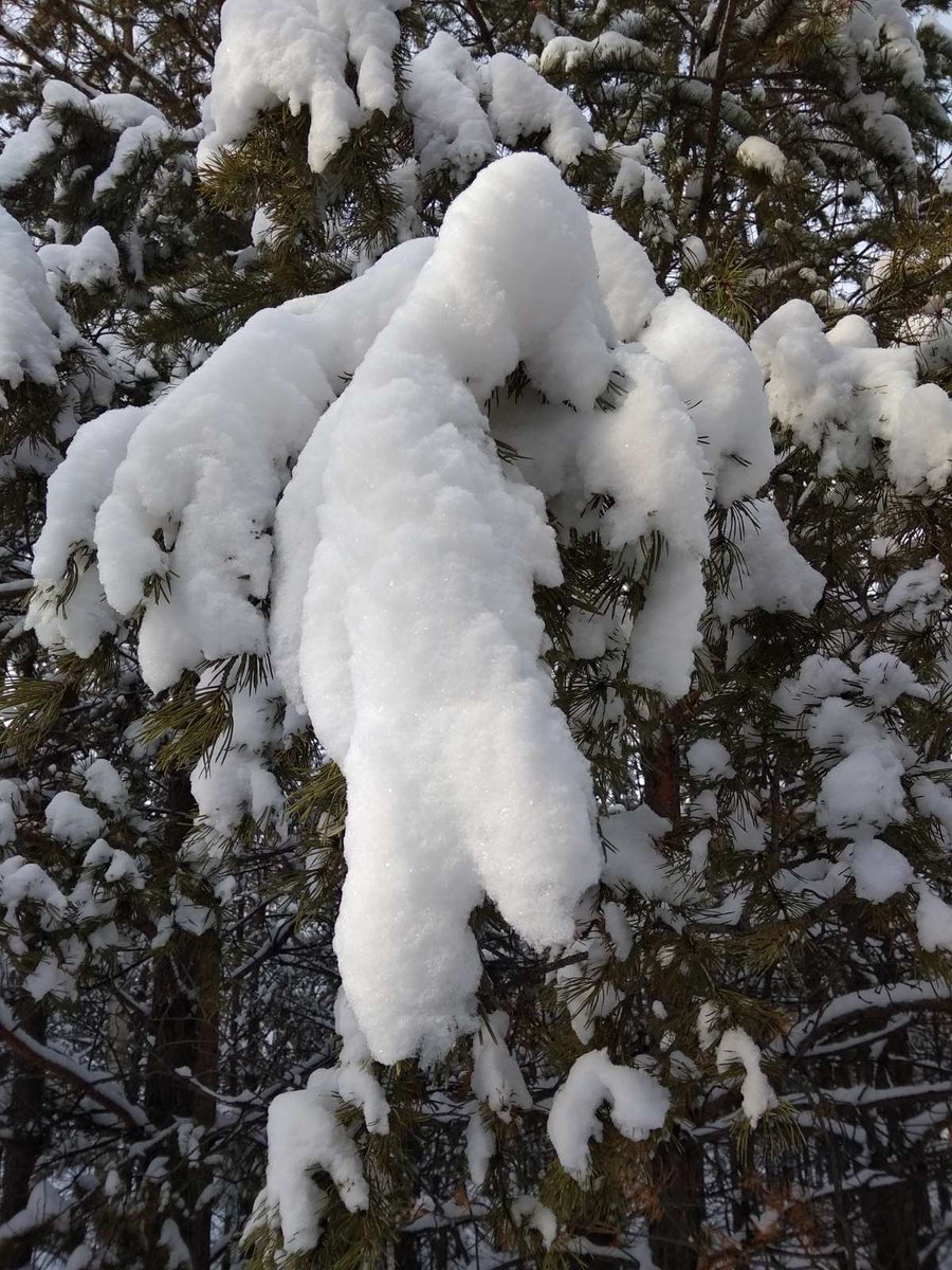 Isackoff's tweet photo. @LisaMRomano Russian winter. Hi, Lisa! :) https://t.co/UhUhWLKkIe