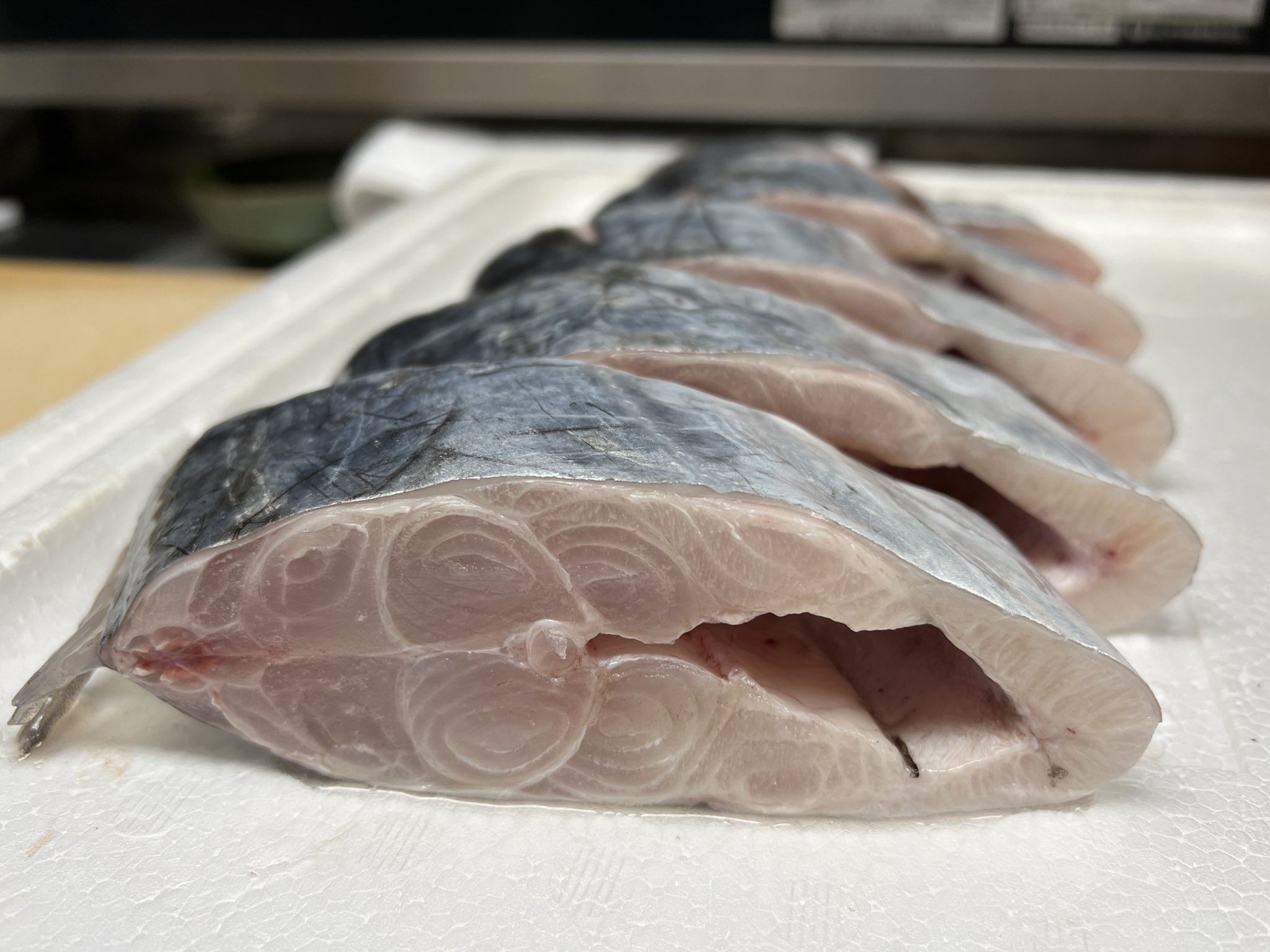 小田原 すしや万采 本日の太刀魚 こんなに腹まで厚いのはそうそうないです 焼き魚で提供いたします T Co Zvuvsstpe6 Twitter 小田原 すしや万采 本日の太刀魚 こんなに腹まで厚いのはそうそうないです 焼き魚で提供いたします T Co Zvuvsstpe6 Twitter