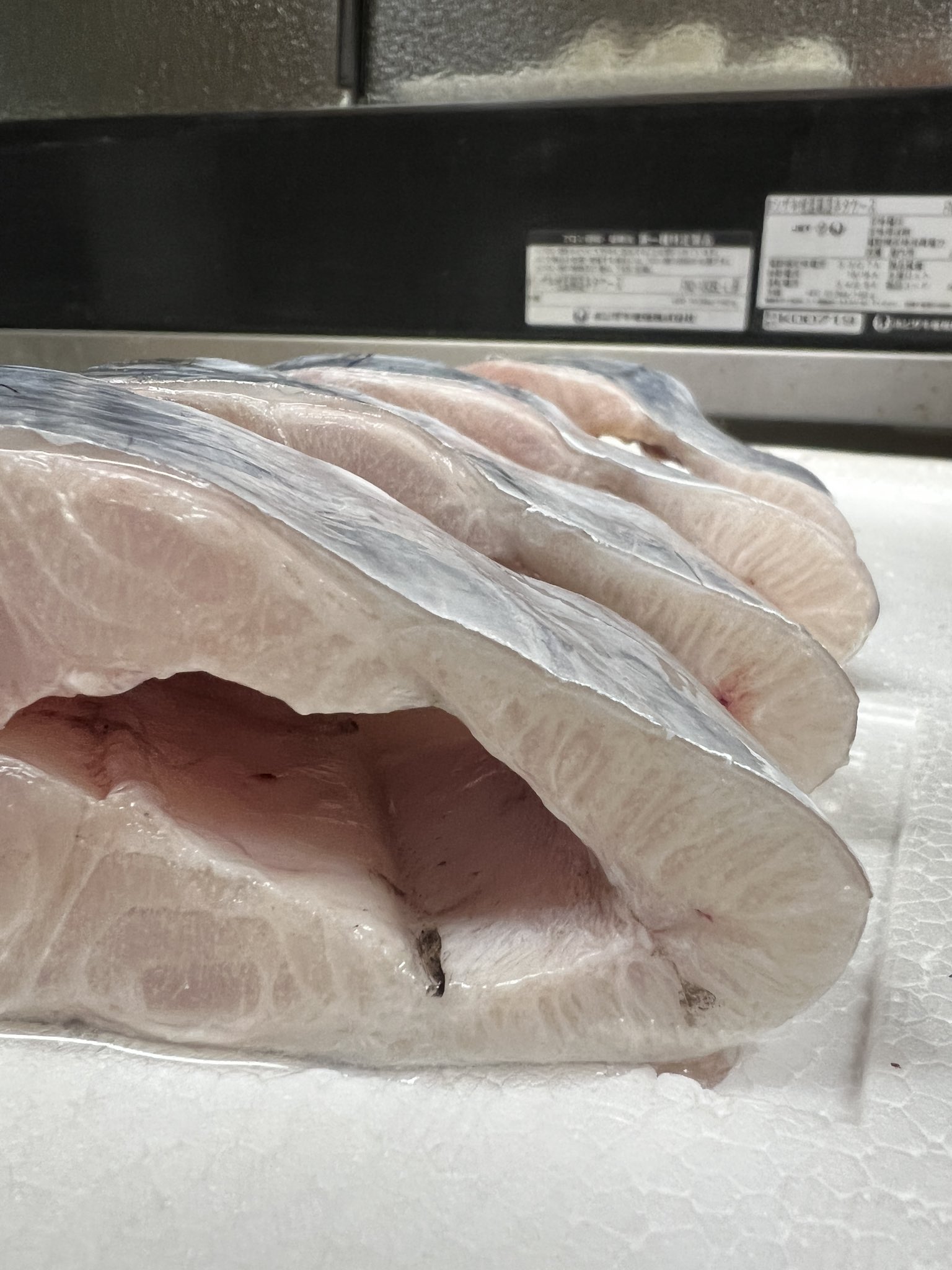 小田原 すしや万采 本日の太刀魚 こんなに腹まで厚いのはそうそうないです 焼き魚で提供いたします T Co Zvuvsstpe6 Twitter