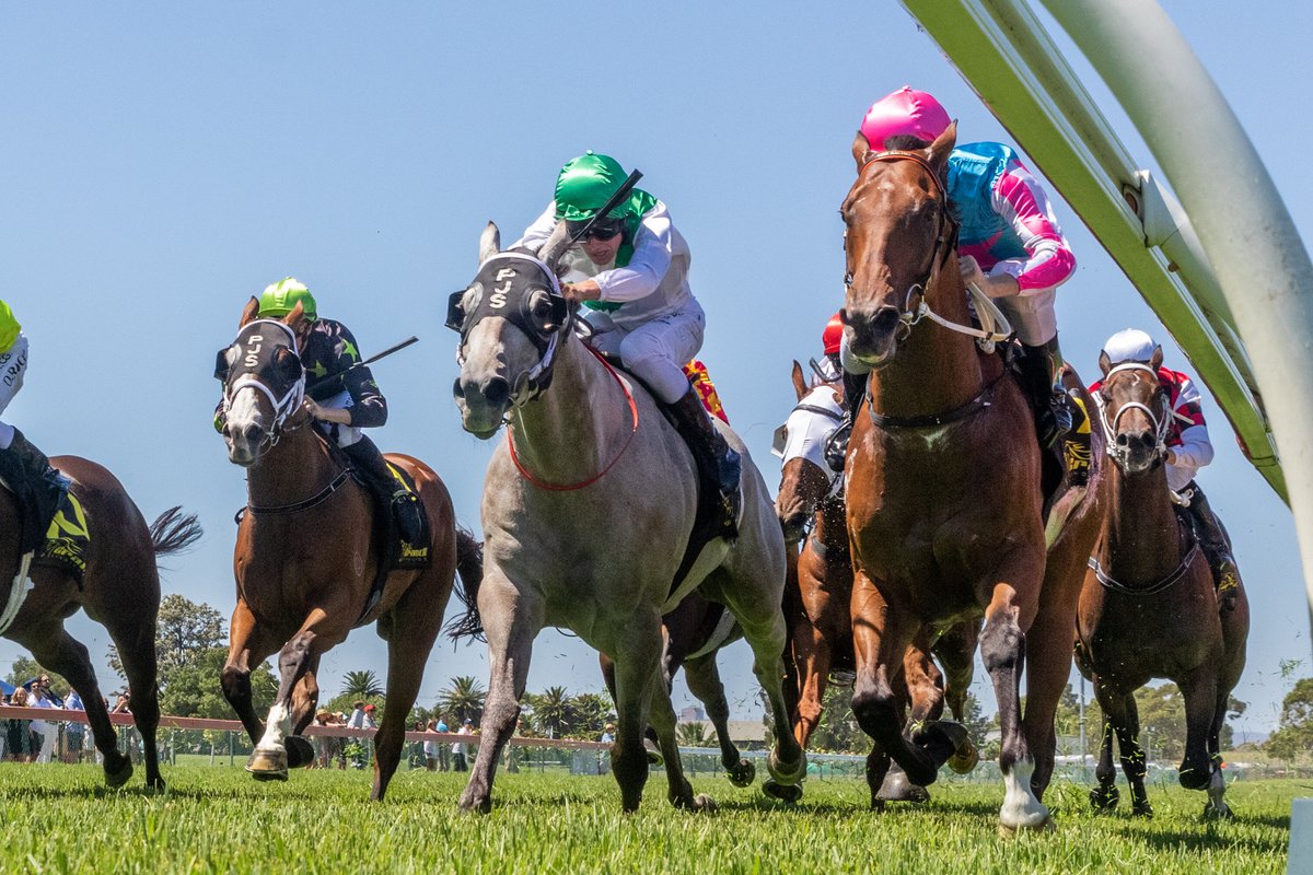 Racing SA tweet media