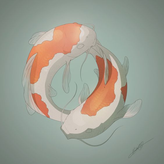 Harmonic network tweet media