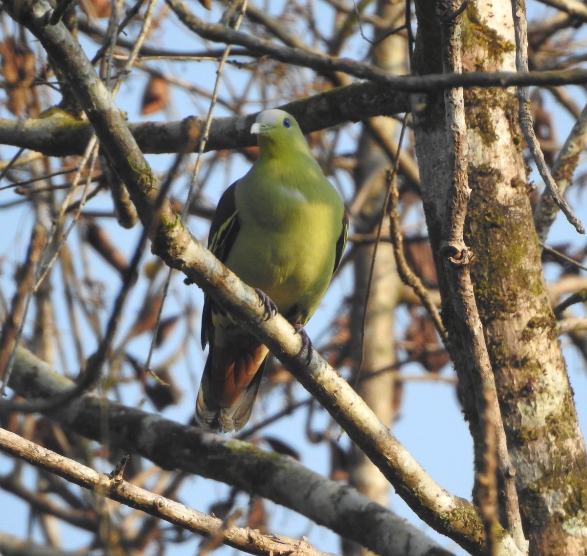 christy bharath tweet media