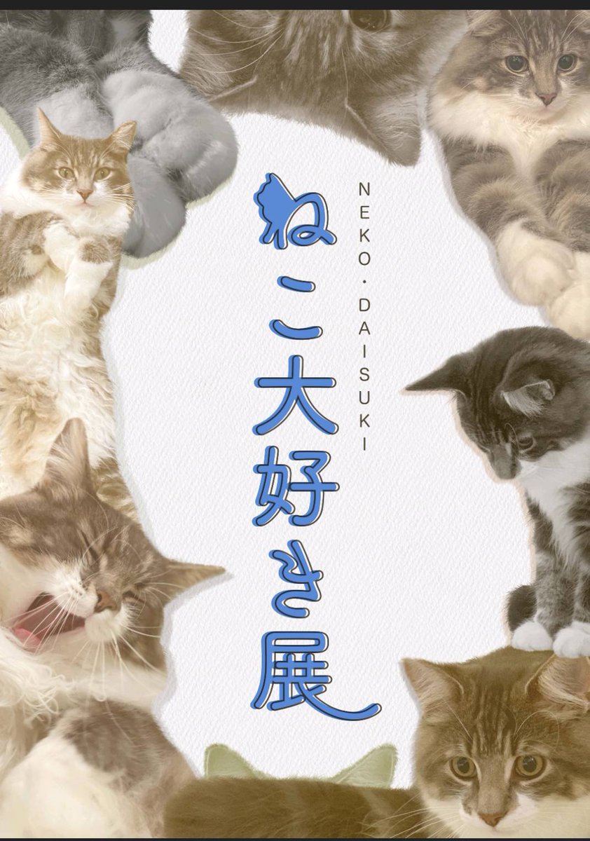 始まりましたー!
今回は展示のみ参加してます(ΦωΦ)
まだまだ次の出展が待ってるのですが可愛いグッズ制作中です!よろしくお願いします🐳次回告知もお楽しみに✨

《NEKOーDAISUKI展》
2/18(金)～3/2(火)
FEWMANY銀座ロフト店
(銀座ロフト6階バラエティ雑貨) 