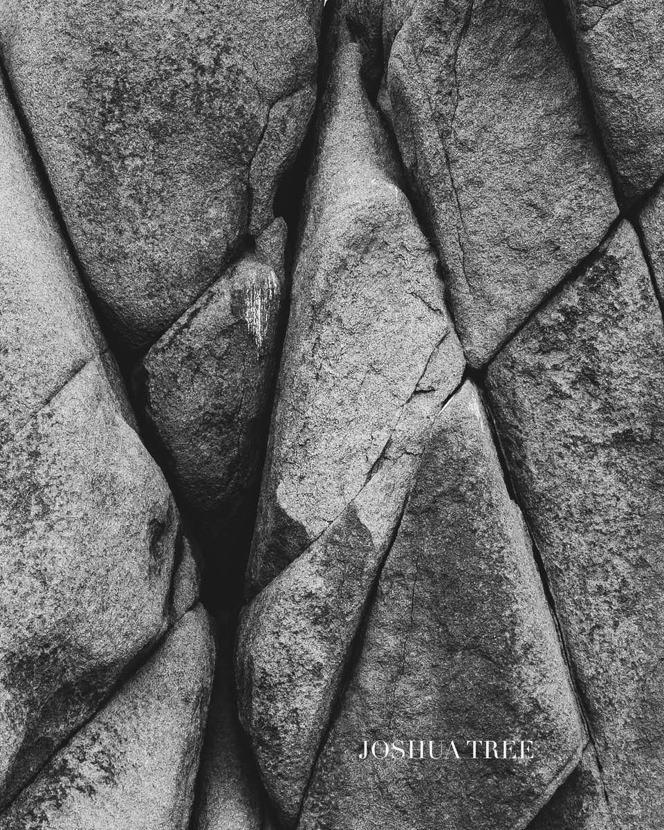 Joshua Tree National Park is a place that keeps on giving for both color and bw photography. 

After reading <a href="/alisterbenn/">Alister Benn</a> book: Luminosity and Contrast, it's inspired me to explore other areas in my photography that I had forgotten or avoided.

Thx you sir!

#nfts