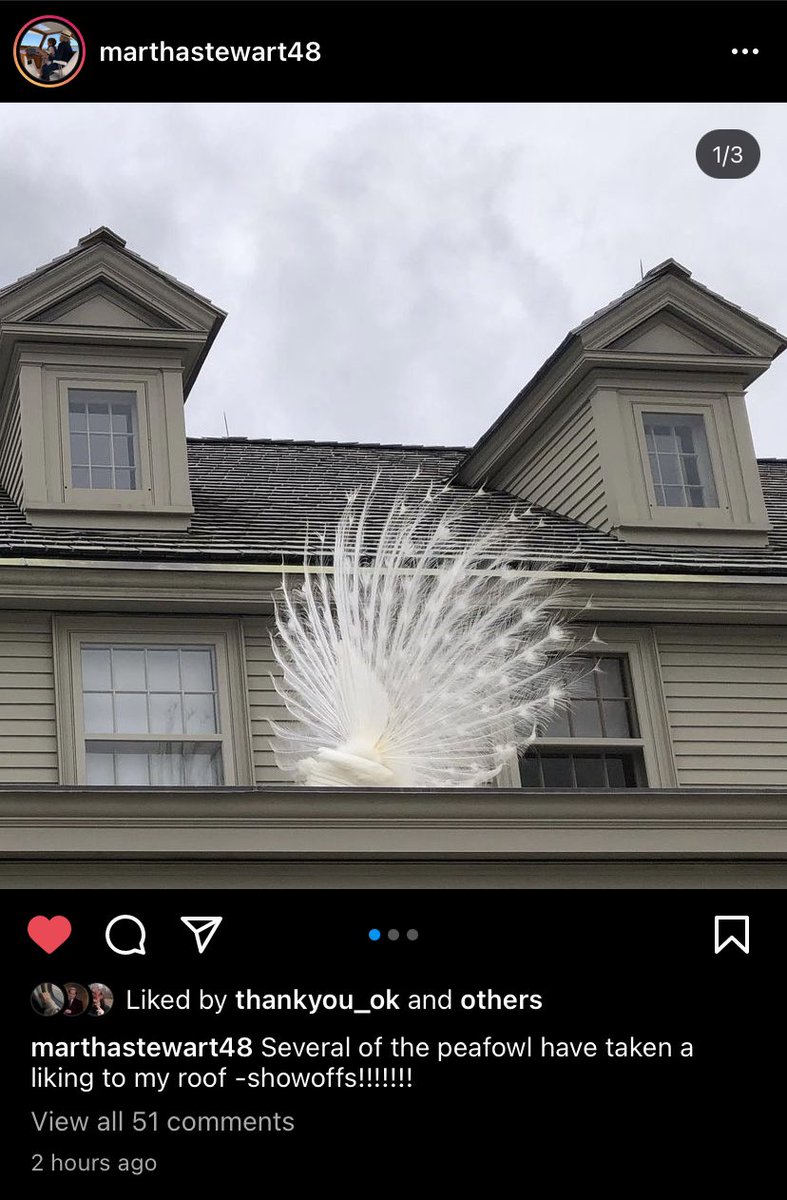 Nobody understands how to use Instagram except Martha, including me