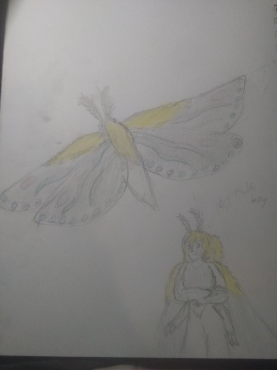 KatyvernK's tweet photo. Rat Moth is Back but as an actual moth (plus the Moth Boy Simon). Again, not based off of any species.

#moth #moderninvertebrate #invertebrate #infinitytrain #simonlaurent #au #simoninfinitytrain https://t.co/7yRlBbtUeI