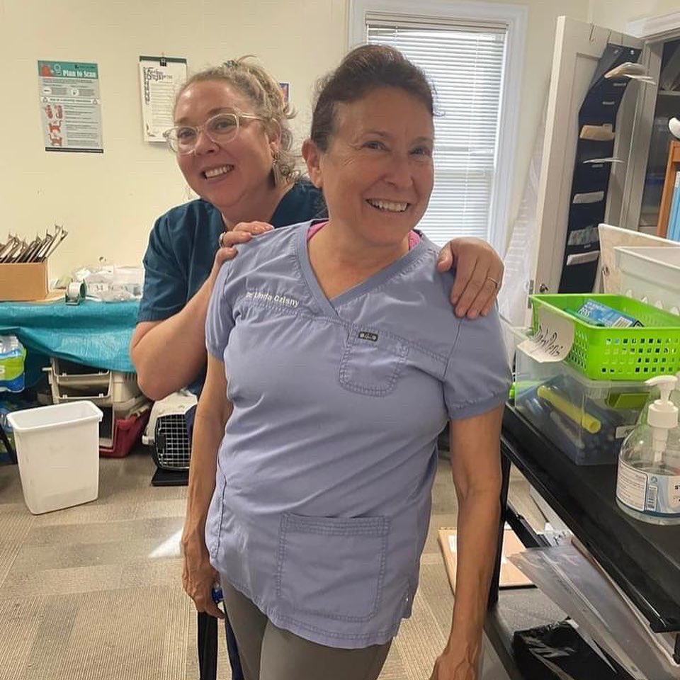 PALSCenTX's tweet photo. 27 cats &amp; 5 dogs spayed and neutered at our 2/16 clinic! 💙🐕🐈😻 Including some mamas who are finally getting relief from baby making! We’re so grateful to Dr. Cziney for dedicating her time and efforts to helping these dogs and cats in need! https://t.co/lCeK8HLcHZ