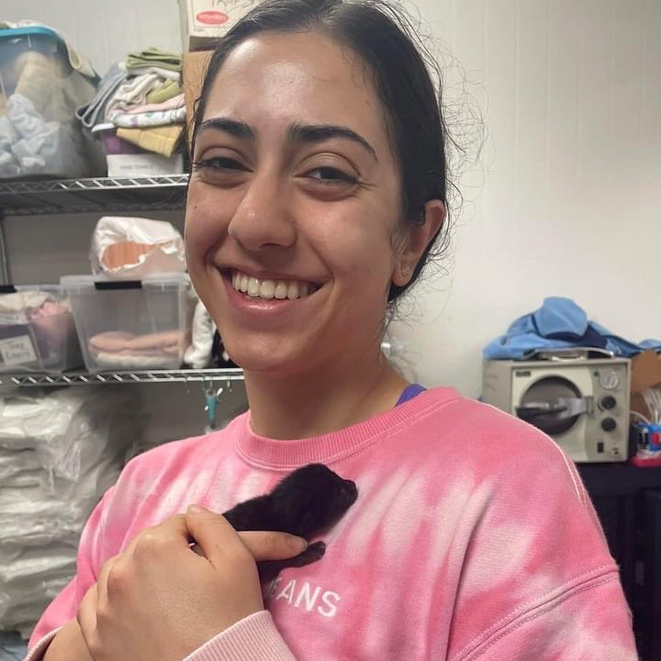 PALSCenTX's tweet photo. That’s 32 more local pets who won’t be endlessly breeding and filling up the local shelter. Good job PALS team on another successful clinic! It takes a lot of moving parts and caring people to make these clinics happen. https://t.co/2AMyQUZR1S