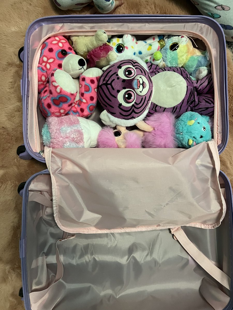 noahd1's tweet photo. In case you’re wondering what a 6 year old packs (and doesn’t) when asked to pack for a long weekend. https://t.co/I8Vql90YbH