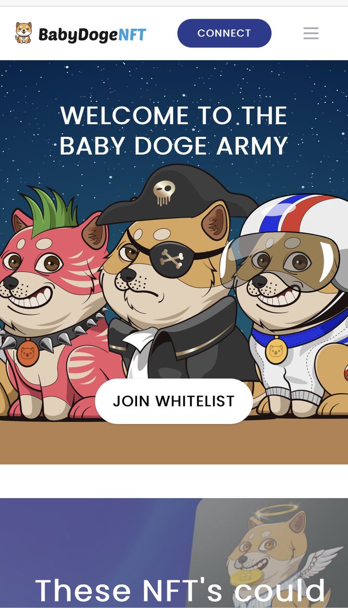 BabyDogeNFTs's tweet image. NFTs make me happy