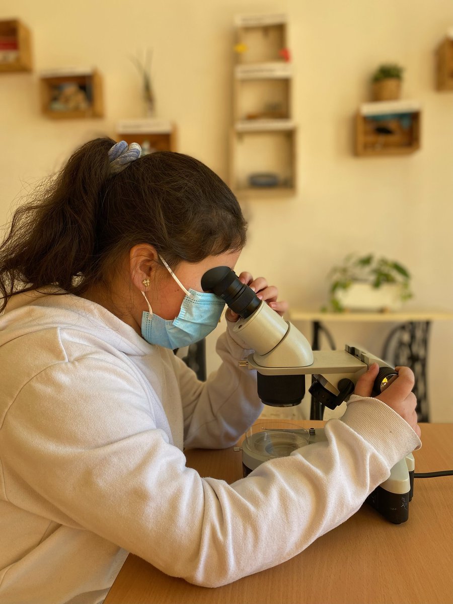 Sabeu que el riu Besòs va ser un dels rius més contaminats. I ara, com de contaminat està❓Vols viure aquest viatge amb nosaltres❓No et perdis el següent 📽️👉👉youtu.be/bn9zJG4ylEE
#acciopelclima_Tanit    #salutibenestar_Tanit   #PortesObertesTanit2022