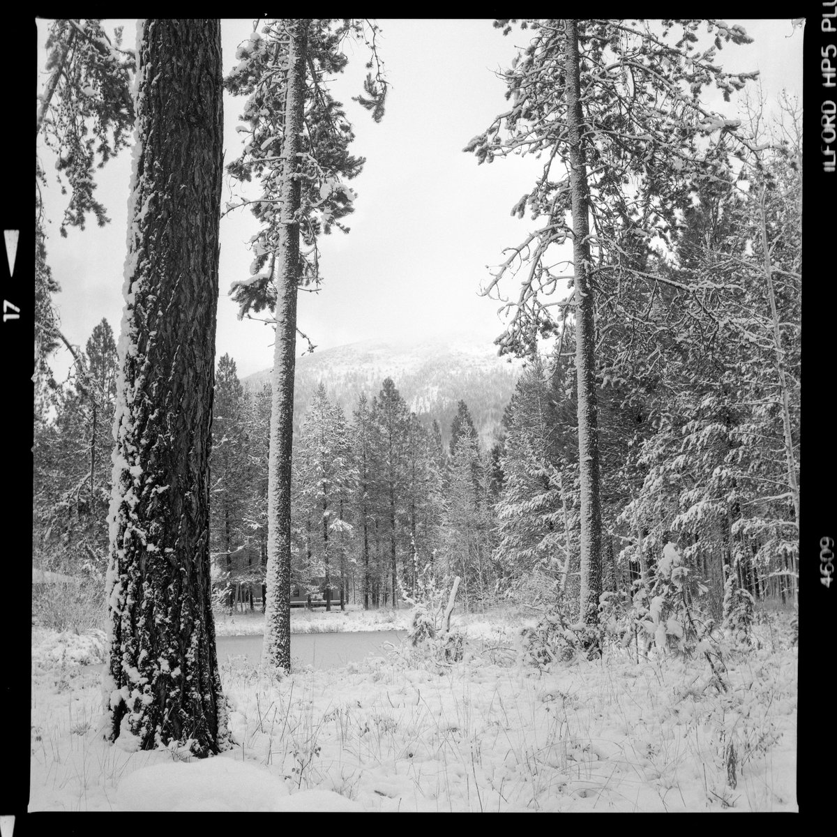 shoegaze503's tweet image. probably nothing.  maybe something.

listing soon.. 💀🎞️🙏

#OneRollOfFilm

exchange.art/collections/On…