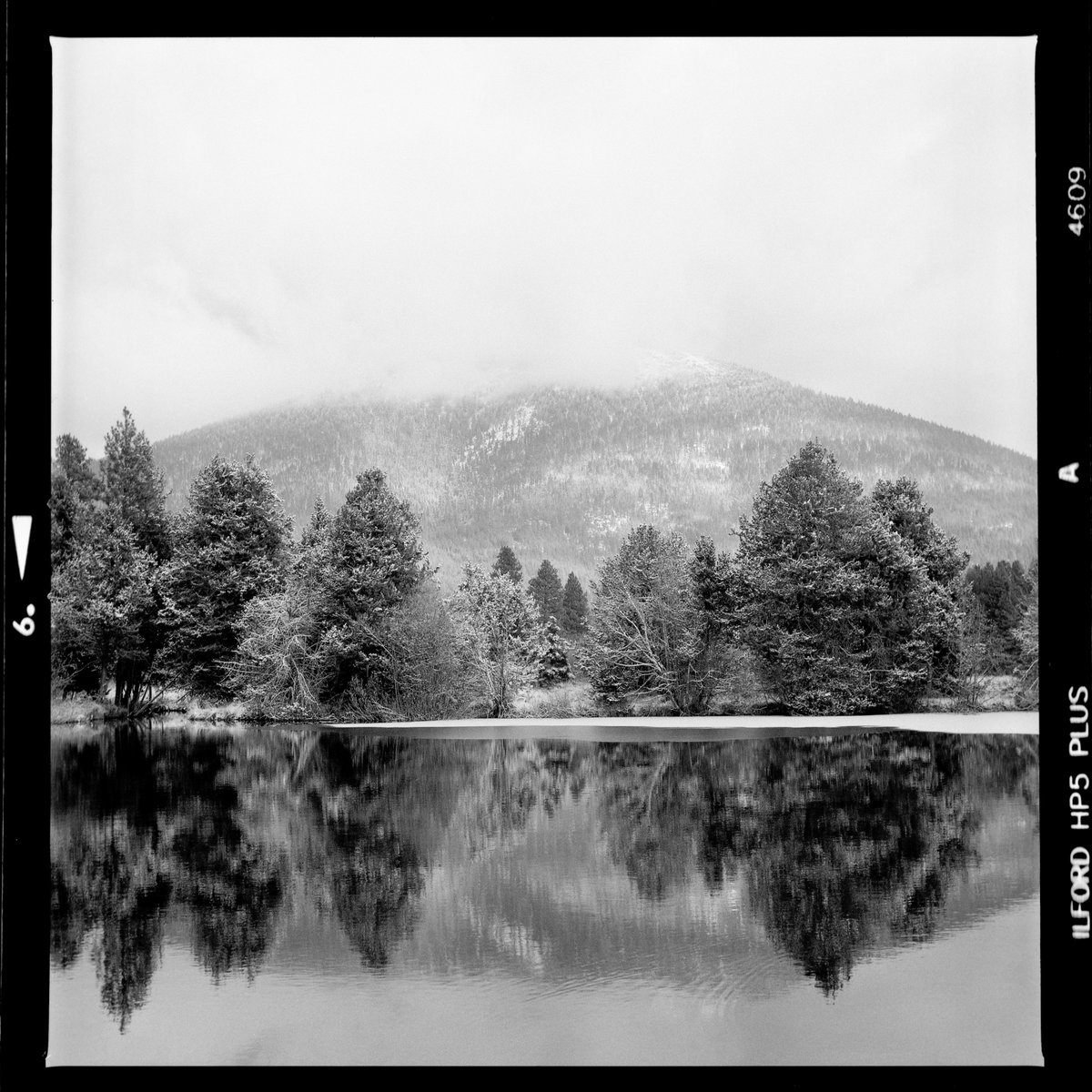 shoegaze503's tweet image. probably nothing.  maybe something.

listing soon.. 💀🎞️🙏

#OneRollOfFilm

exchange.art/collections/On…