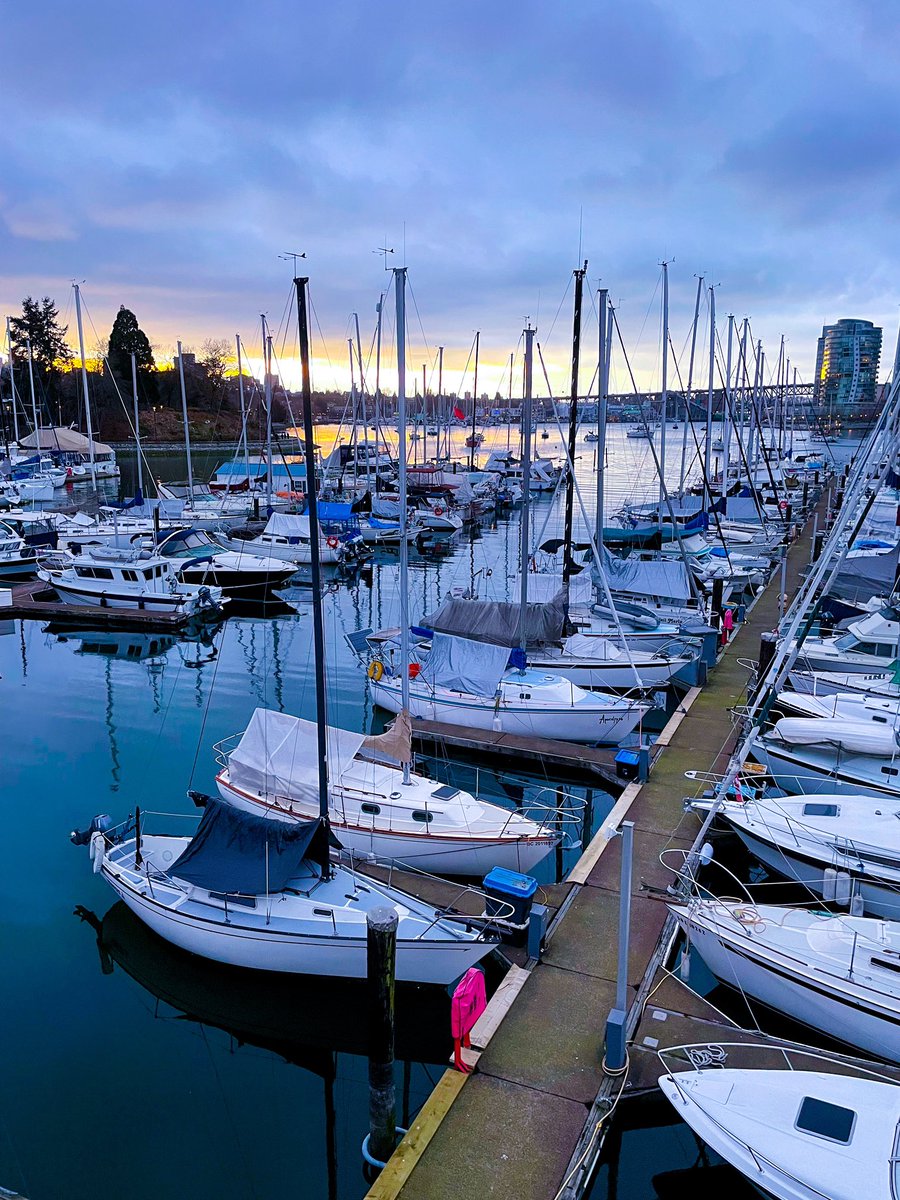 CalvinTongMD's tweet photo. Finished work early and it was nice out - went for a run 🏃♂️ #healthyliving #exercise #doctorsorder #cardio #vancouver https://t.co/opshFU34gw