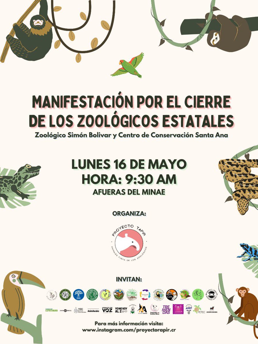 Proyecto Tapir tweet media