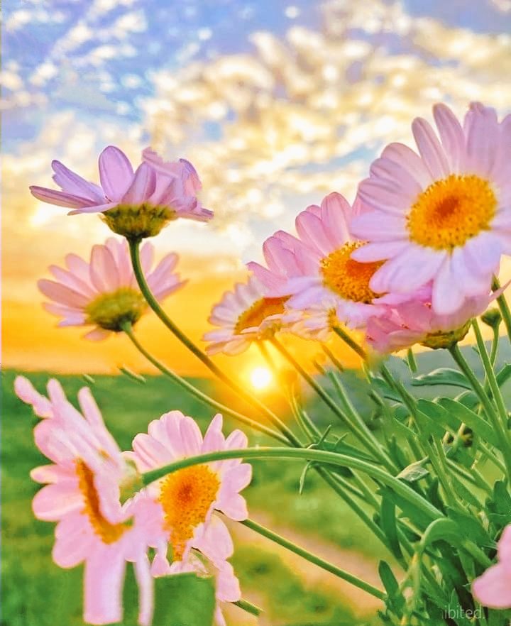 TLeoni311's tweet photo. Good morning 🌞 https://t.co/wg50JJaWM9