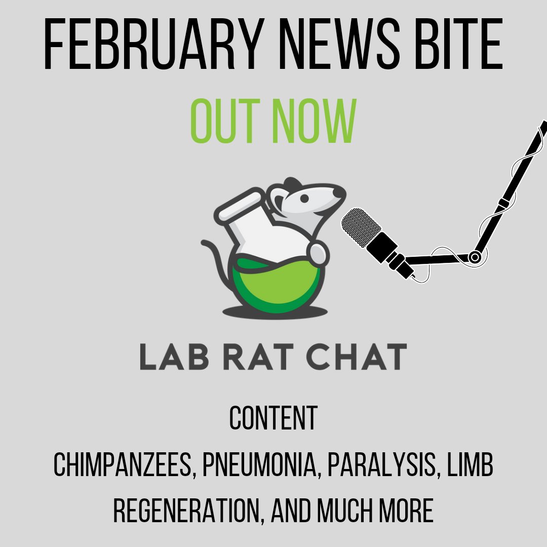 Check out this News Bite edition to hear about the latest and greatest (in our opinions) stories involving the use of animals in research.

#podcast #news #newepisode #science #medicine #research #chimpanzee #thankananimal #labratchat