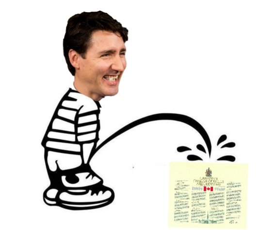 CanadasRachel's tweet photo. @Harrison_of_TX Ok how about this one lol 😁 https://t.co/UVCuqpj8w4