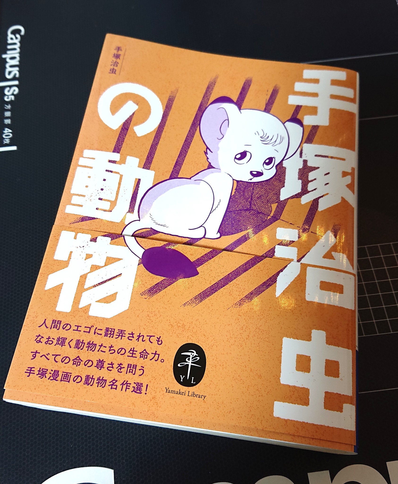 松浦 だるま on X: 