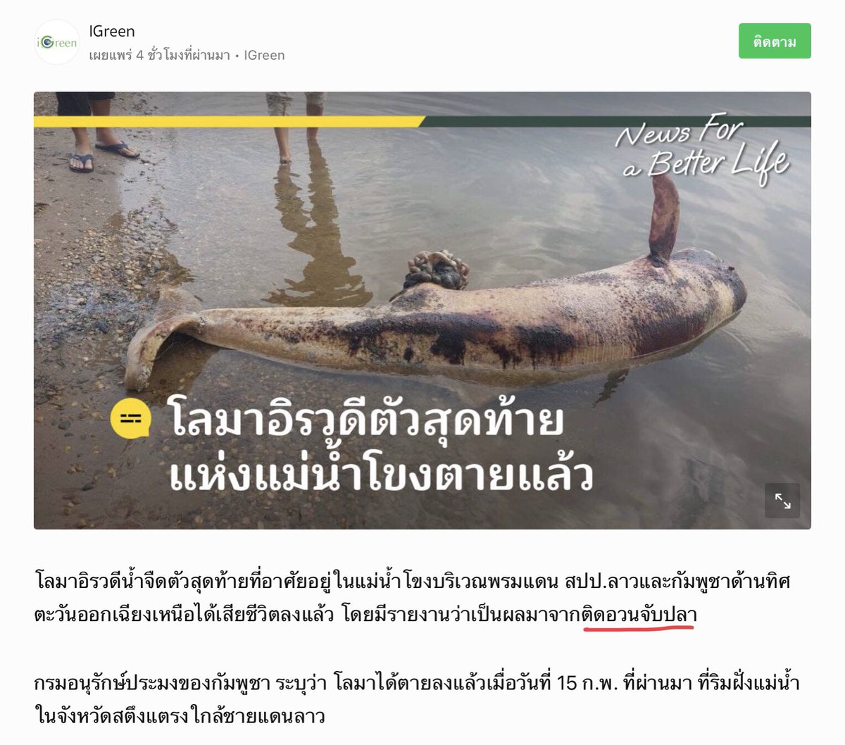 คุนข้าวไม่ได้จบประมง tweet media