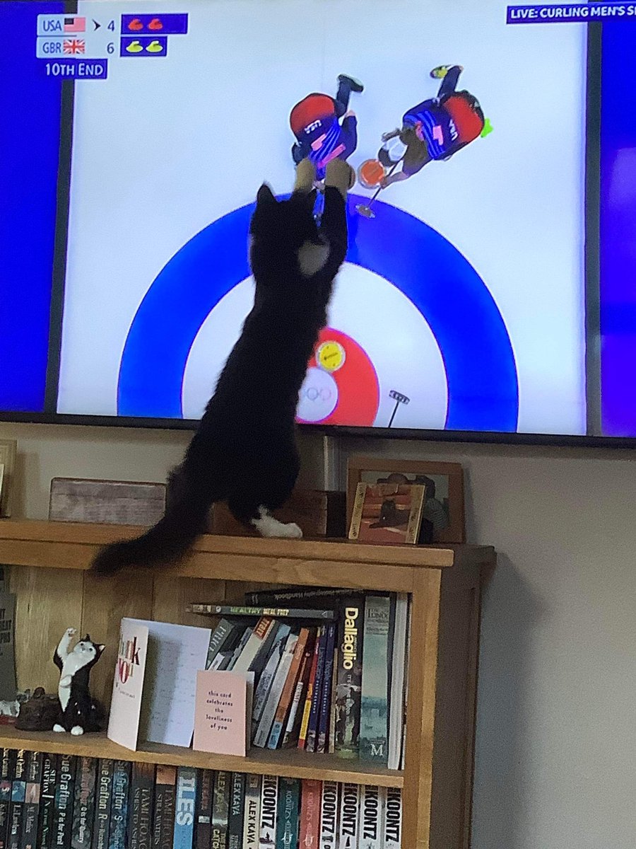 tapstressnetty's tweet photo. @clarebalding #BBCOlympics Milo’s really getting into the curling @TeamGB #WinterOlympics #Curling https://t.co/KqVZO0A1wB