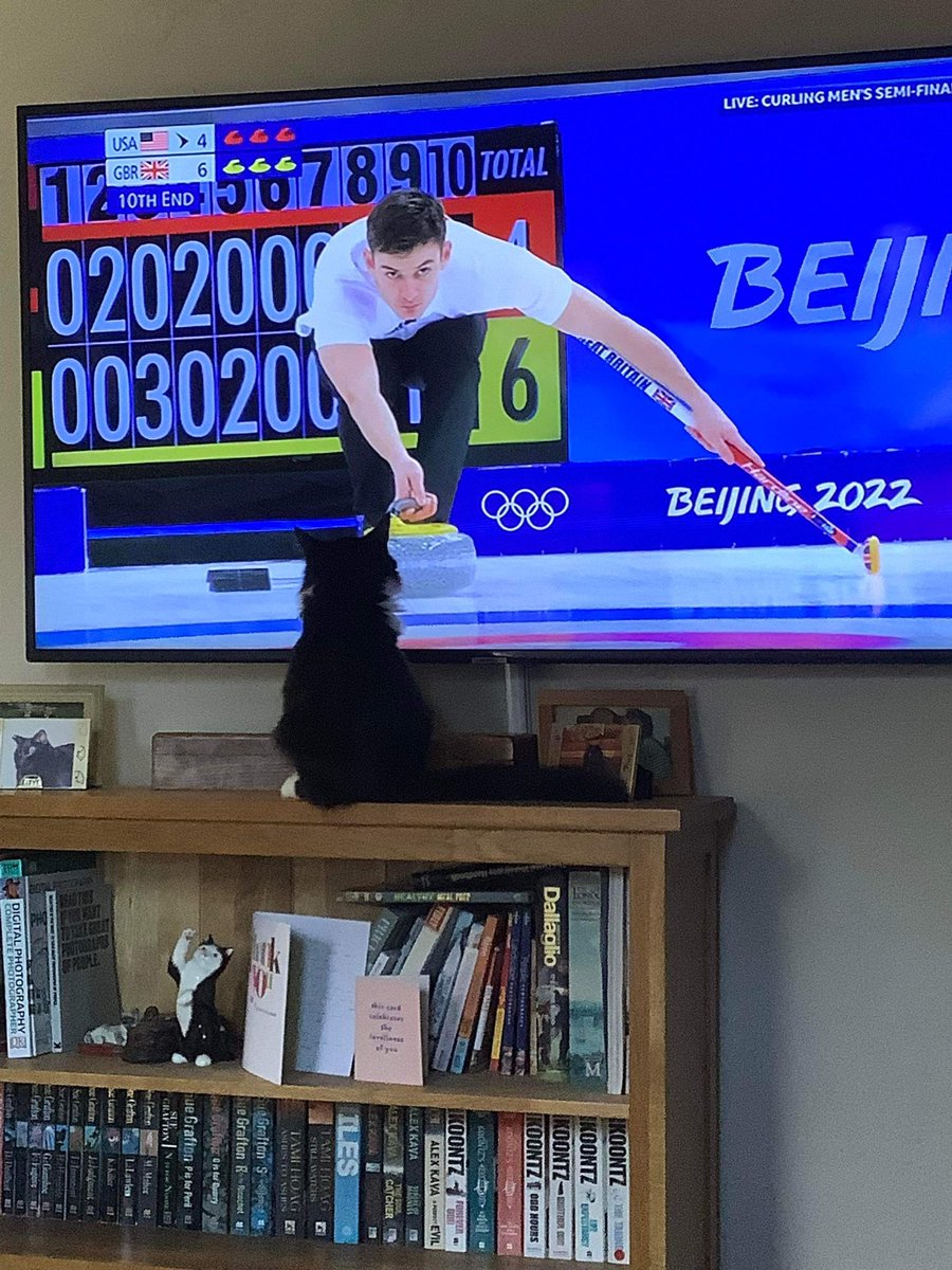 tapstressnetty's tweet photo. @clarebalding #BBCOlympics Milo’s really getting into the curling @TeamGB #WinterOlympics #Curling https://t.co/KqVZO0A1wB