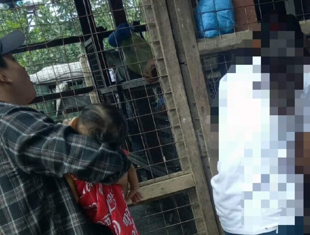 သံတွဲတွင် စစ်ကောင်စီက ဖမ်းဆီးထားသော မငြိမ်းအိဖြိုးကျော်၏ ၂ နှစ်အရွယ် သမီးငယ်ရွှေရည်ဝင်း  အကျဉ်းထောင်အတွင်း ချွဲပိတ် ကွယ်လွန်

ရန်ကုန်၊ ဖေဖော်ဝါရီ ၁၈
Read More -> t.me/khitthitnews/2…