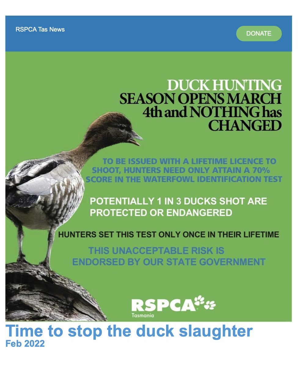 BirdLife Tasmania tweet media