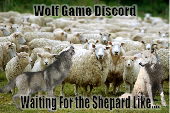 Krimm_eth's tweet photo. @wolfdotgame @RealCryptoCoach #pack10540 #Woolevent2 https://t.co/6T3W5ifQnx