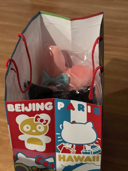 I got some new Sanrio stuffies today ? https://t.co/DU8tWmcrHR