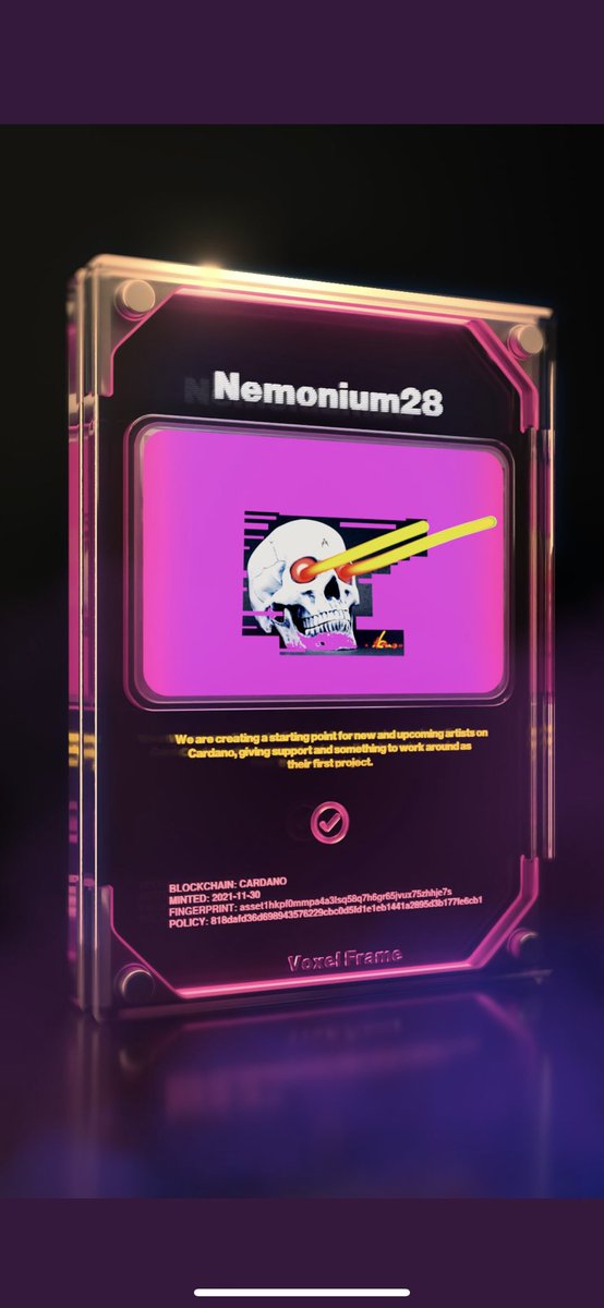 gary_lea223's tweet photo. @_nemonium  i figured my skull needed some extra protection so i got @fonnkspace  to put it in a voxel case what you guys think? And cant recommend fonnk enough great to deal with and would suggest anyone interested dropping him a message #cnft https://t.co/RrfzcSHdzO