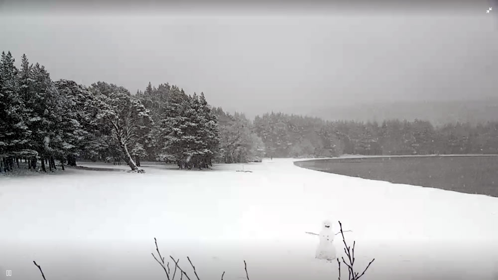 webcamsmap's tweet photo. Can you spot the snowman on Loch Morlich beach https://t.co/p3ONH2oinN ? @VisitScotland https://t.co/WUyFV9p8FW