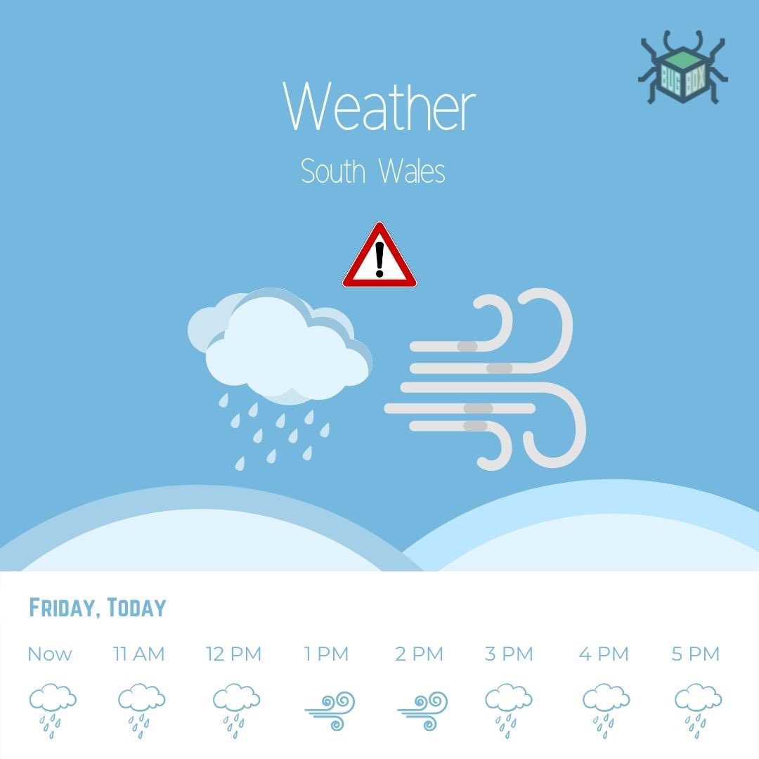 Bugboxuk's tweet image. Due to #StormEunice we have had to reschedule shipping to Monday, we have a Red Weather Warning and everyone is advised to stay at home as this storm is danger to life. We hope to resume all shipping on Monday providing the weather is safe enough to do so! 

#StaySafe 💚