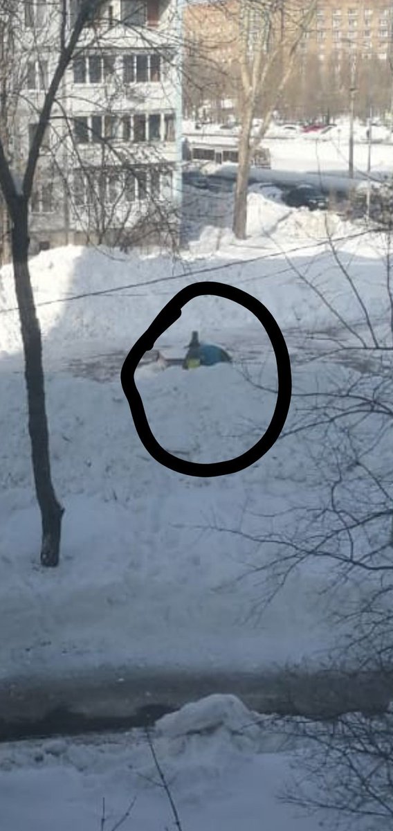 <a href="/DepGorHozSamara/">Департамент ГХиЭ</a> день добрый Школьная Аллея глобус , который установлен сейчас сломан и лежит рядом с подставкой  на дорожке .Очень прошу его сделать или временно забрать так , как выходные и его укатят <a href="/Rudakov_i_a/">Рудаков Игорь Александрович</a> <a href="/gkh_kir63/">Отдел по ЖКХ и благоустройству</a>