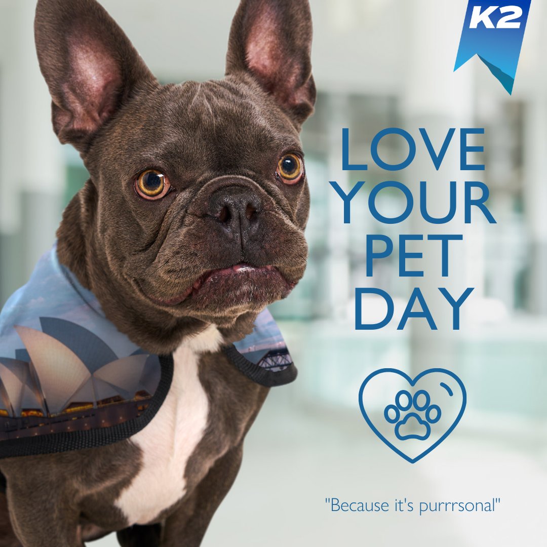 K2corporatemob's tweet image. Sunday is #LoveYourPetDay (US)! 

Pets are an important part of the family unit; we partner with pet experts to ensure that assignees' pets travel safely &amp;amp; comfortably all around the world. bit.ly/3rVgRZ4

More about our #PetMove service: bit.ly/3gTD6bx