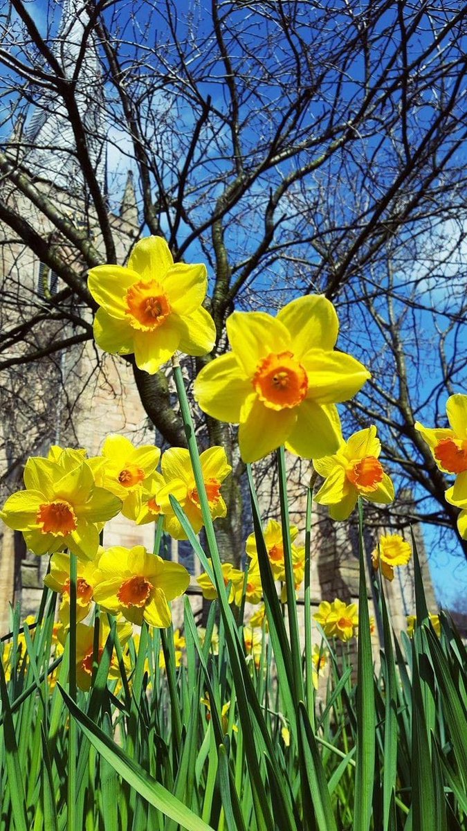 dantonio_luca's tweet photo. "Perché sempre " non ora"? 
I fiori in primavera forse dicono "non ora"?.
(Norman Douglas)
#18febbraio
🍀🍀🍀BUON VENERDÌ.. 🍀🍀🌞 https://t.co/sl0IATTUjy