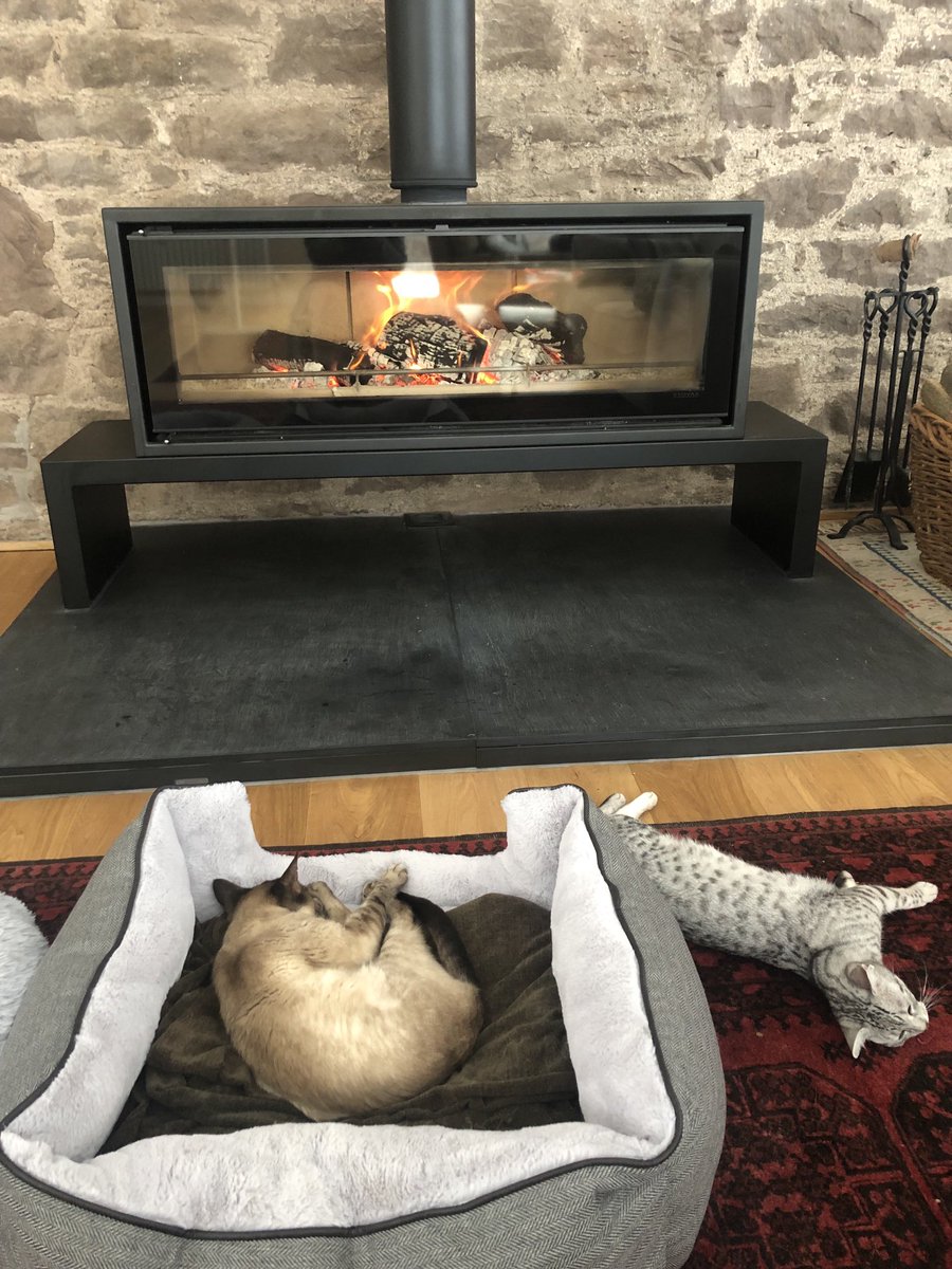 33snowy's tweet photo. The room is redolent with the sound of snoring after snow fun. #notmethistime https://t.co/FPX0ICdq9g