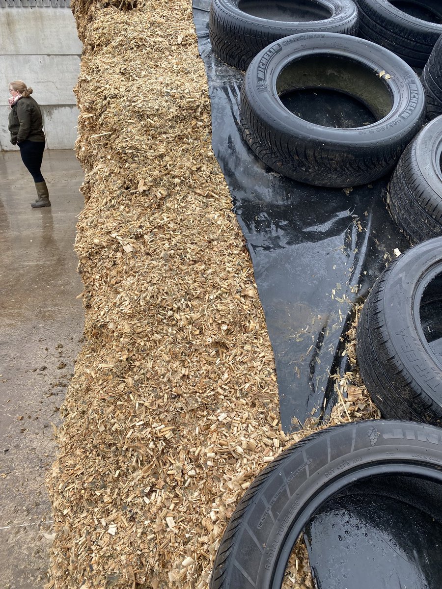 _luce_johnson's tweet photo. Out in Devon this week at Crockers Farm with @Silostop &amp; @Feedco7 talking all things silage sheets, the Max sheets on the maize clamp spoke for themselves! 🐮 https://t.co/P2OnjSaUFg