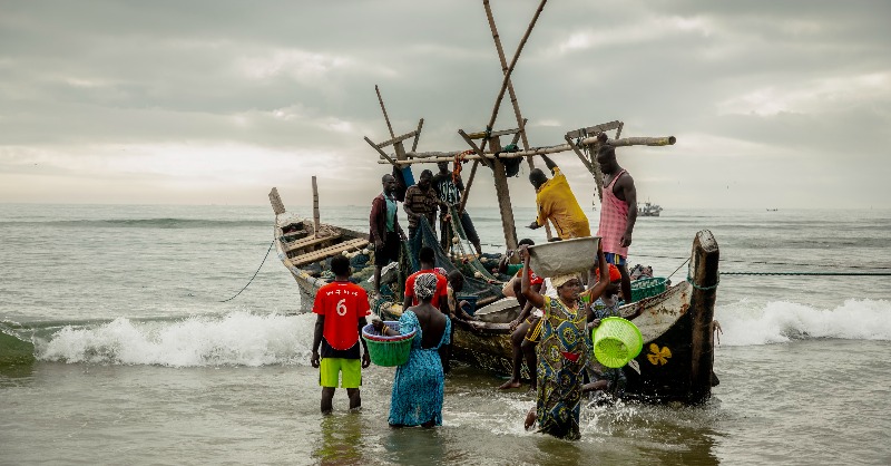 ejfoundation's tweet photo. All children should be able to go to school.

Yet declining fisheries income means that 15-20% of children are leaving school before completing primary education in coastal communities in Ghana.

Illegal fishing and overfishing by industrial trawlers must end now.
