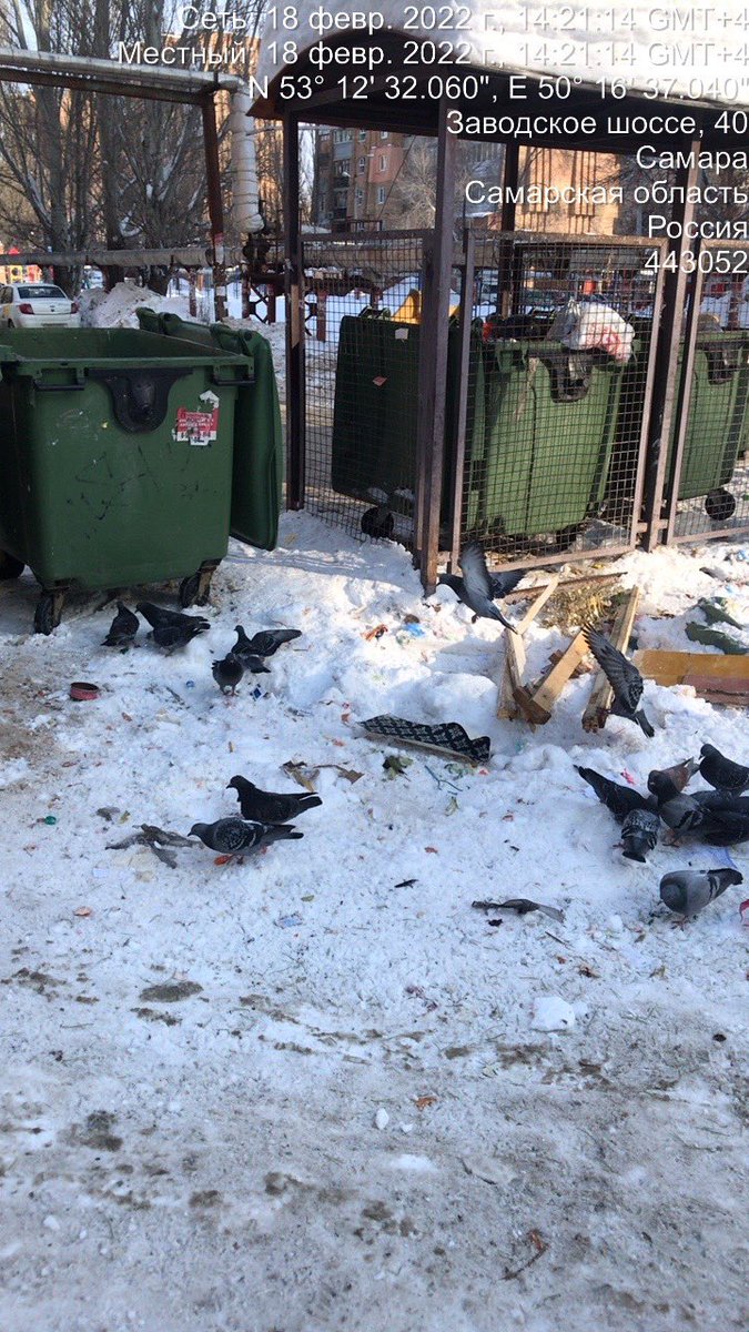 Елена tweet media