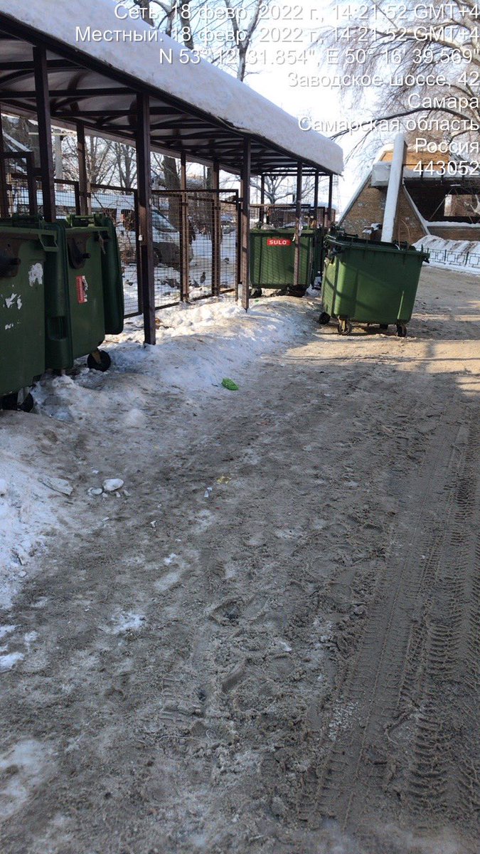 Елена tweet media