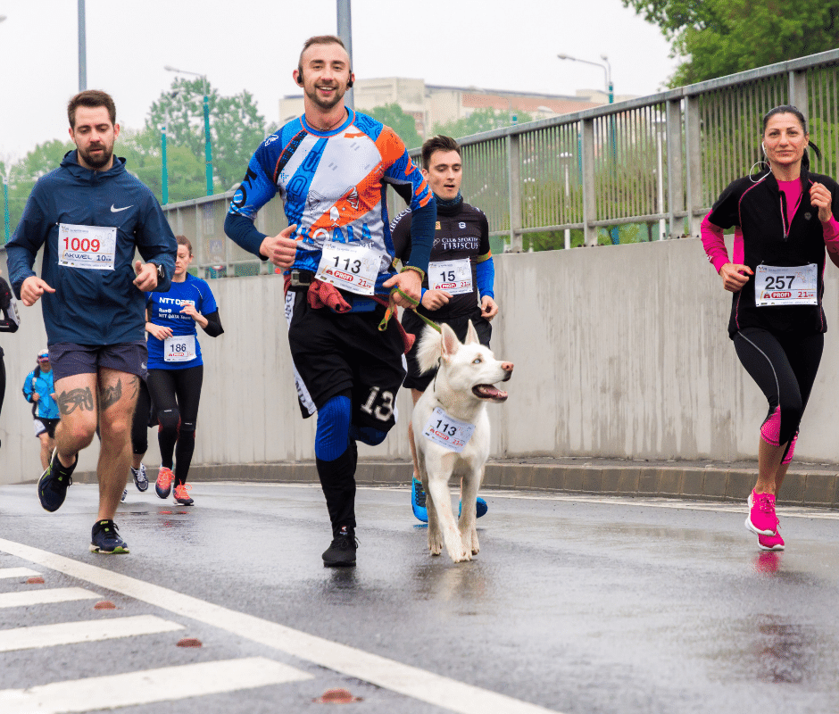 It doesn’t matter whether you’re a running novice or seasoned marathoner, every runner has been in the position of seeing their time at the end of a 5km training session, a Parkrun or a race and thought, but where do I measure up? 

runnersradar.com/blogs/is-my-5k…