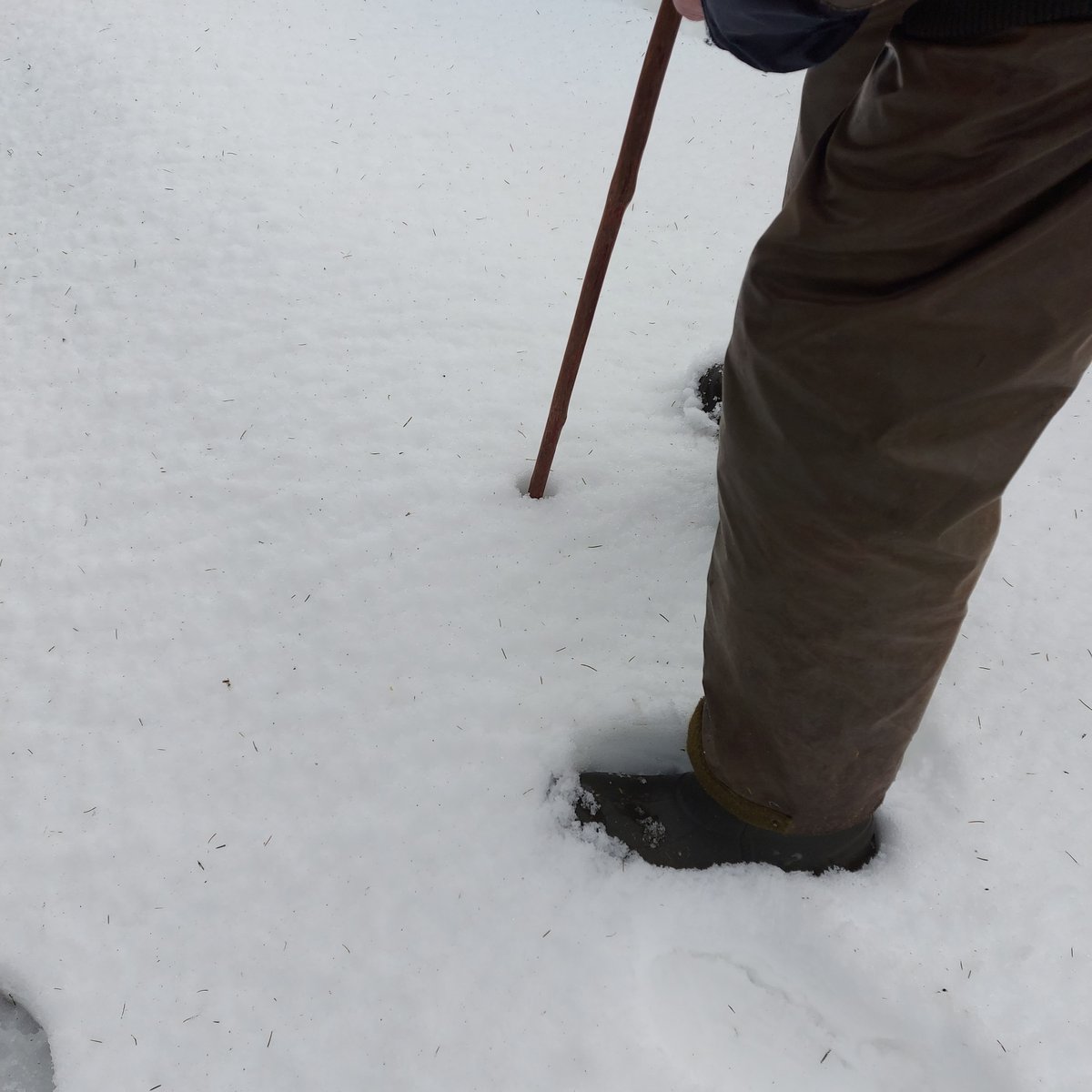 lkheritage's tweet photo. Hope everyone staying safe out there today.
Any sign of #snowfall like we had last year in February 2021?
Why not add your photos to our #Heritage website?
#StormEunice
#snowday #Louisburgh #Killeen #dayoffschool #dayforthefire #wildatlanticway #wildwest #windy https://t.co/IVmpREAugC