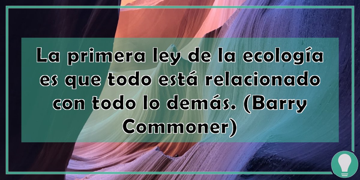 ♻ No te olvides de visitar nuetra tienda zero waste residuozeroconz.com
#residuocero #residuoceroencasa #residuoceroespaña #residuoceromadrid #zerowaste #zerowasteespaña #basuracero #basuraceroespaña #tiendaresiduocero