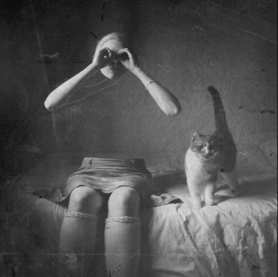 so_contrary's tweet image. Robert ParkeHarrison